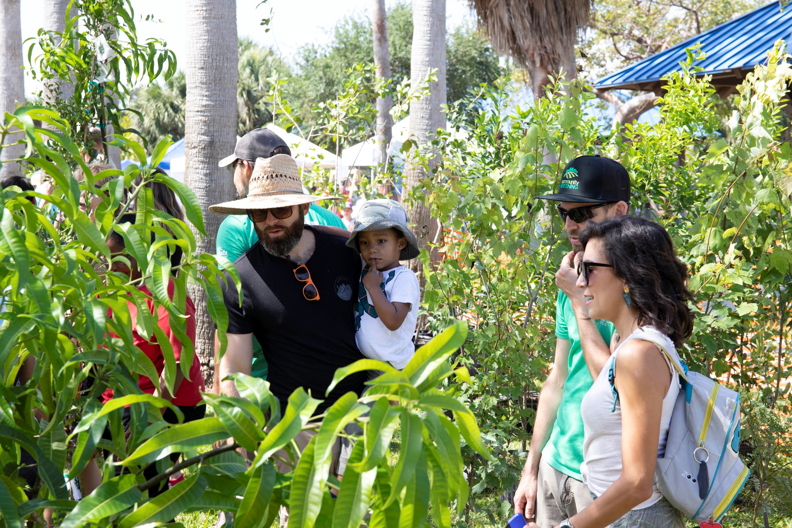 individuals picking out free trees