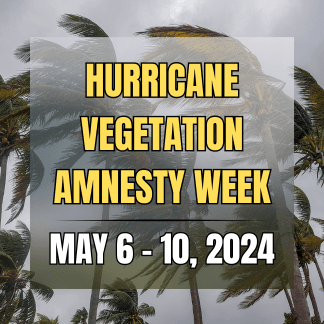 HURRICANE AMNESTY WEEK graphic